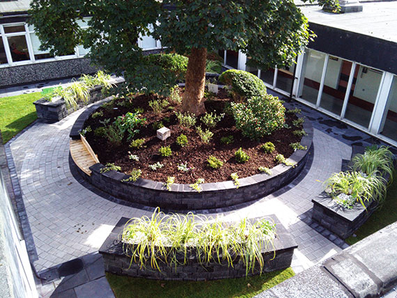Building and Project Management Landscaping Services